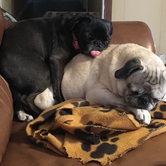 Stack and save! - Picture 2 of 3